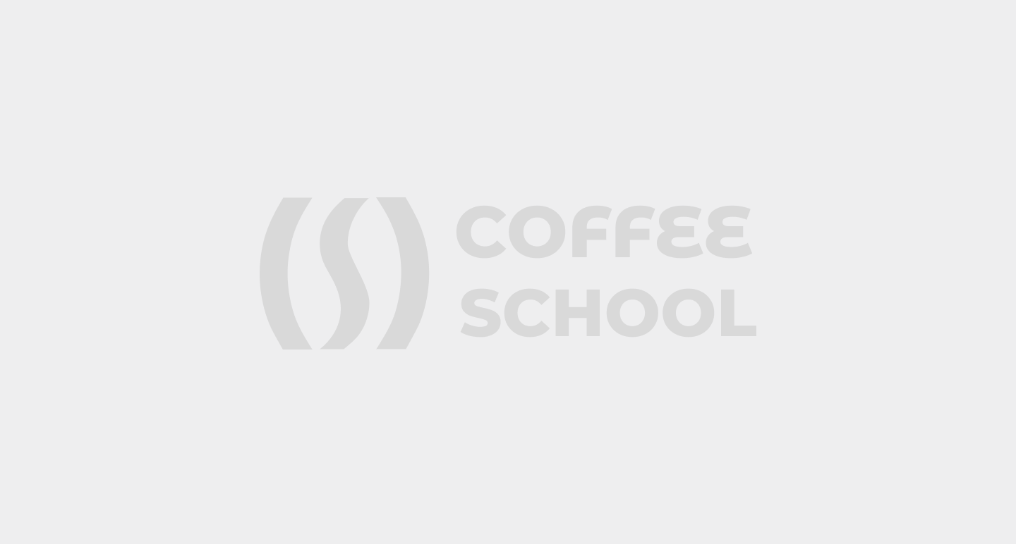 Договоры оферты на детские курсы для физических лиц - КофеШкола — образовательный IT-проект  агентства интернет- маркетинга CoffeeStudio в г.Пскове